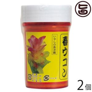 春ウコン粉 (容器入) 100g×2個 比嘉製茶 沖縄 土産 人気 健康食品 ウッチン 鬱金 名医とつながる たけしの家庭の医学｜umaimon-hunter