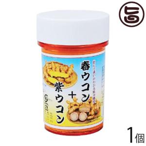 比嘉製茶 春ウコン+紫ウコン粉 100g×1個 精油成分豊富な春ウコンと紫ウコンをブレンドしたサプリ｜umaimon-hunter