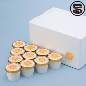 ひまわりアイスクリーム 130ml×10個セット 南光ひまわり館 兵庫県 土産 人気 手作り アイス ひまわりの種入り フジTV グータンヌーボ