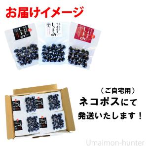 宍道湖産 レトルトしじみ(特大粒) 100g×...の詳細画像5