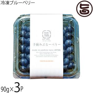 冷凍ブルーベリー100g×3P 堀うち農園 無農薬栽培 安心