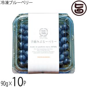 自然農法 冷凍ブルーベリー 3000g 冷凍ブルーベリー90g×3P 堀うち農園 減農薬栽培 有機肥料使用 : 旨い
