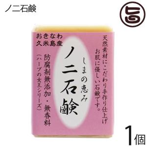 島の恵み ノニ石鹸 100g×1個 久米島物産販売 沖縄県久米島産ノニ使用 おきなわ 沖縄産 久米島産 防腐剤無添加 無香料｜umaimon-hunter