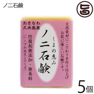 発酵ノニ石鹸 100g×1個 /洗顔 無添加 ノニ石けん 沖縄産（M便） : 沖縄