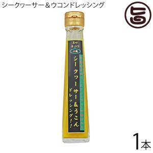 シークヮーサー＆ウコンドレッシング 120ml×1本 テクノグリーン 秋ウコン使用 シークァーサー果汁入りドレッシング 様々な料理に｜umaimon-hunter