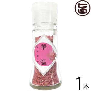 琉球華塩 (はなまーす) ピンク 20g×1個 テクノグリーン 沖縄 土産 人気 調味料 天然塩｜umaimon-hunter