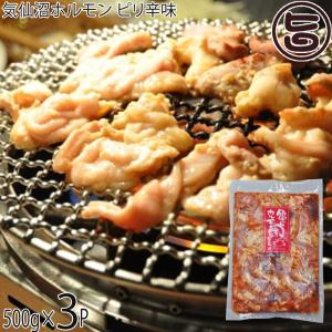 気仙沼ホルモン ピリ辛味 500g×3袋 亀山精肉店 岩手県