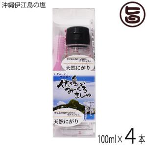 沖縄伊江島の塩 天然にがり 100ml×4本 天然マグネシウム 原液 みーぐる工房