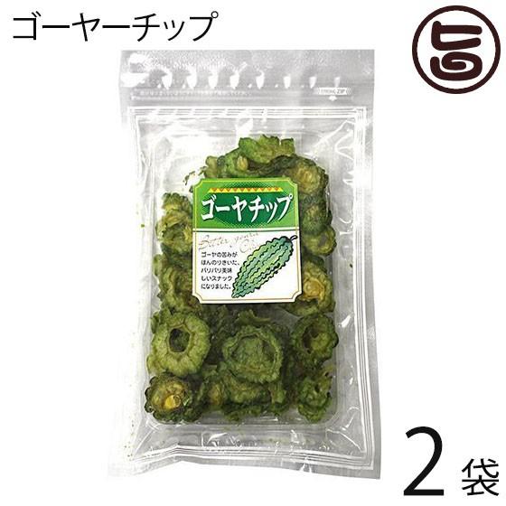 ゴーヤーチップ 63g×2袋 丸茂食品 沖縄 土産 人気 野菜チップス 苦瓜 ドライ野菜 おやつ 苦...