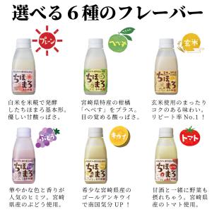 ギフト あまざけ 乳酸菌 ちほまろ 150g×...の詳細画像3