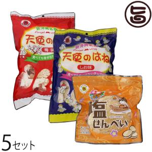 みすてないで塩味4個×梅味4個セット お土産 天使のはね 塩せんべい