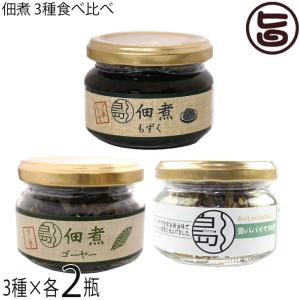 ゴーヤ佃煮 青パパイヤ佃煮 もずく佃煮 食べ比べ２セット 南風堂