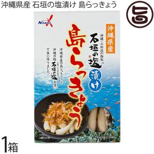 島らっきょう(伊江島産) 浅漬け【50g 5個セット】【冷蔵】送料無料