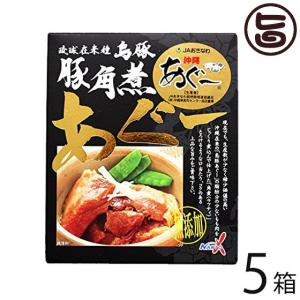 あぐー豚角煮 100g×5箱 南都物産 沖縄 土産 沖縄土産 らふてぃ 沖縄風豚角煮｜umaimon-hunter