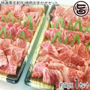 ギフト 特選黒毛和牛 焼肉おまかせセット 上ロース 上ハラミ 約1kg 5人前 肉の匠 テラオカ 目利きにより厳選 ご自宅用に 贈り物に｜umaimon-hunter