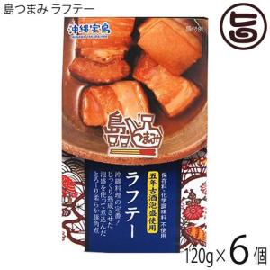 島つまみ ラフテー 120g×6個 沖縄物産企業連合 沖縄 惣菜 缶つま 沖縄土産 化学調味料・保存料不使用｜umaimon-hunter