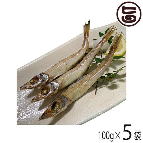 一日漁 干キス 100g×5袋セット 岡富商店 島根県大田市 水揚げ 干物 DHA EPA