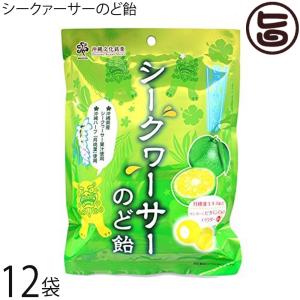 フォーデイズ スパーク ファイア パワーエナジー アミノフォース 24本