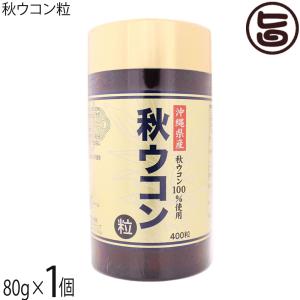 沖縄産100% 秋ウコン粒 80g(200mg×400粒)×1個 沖縄ウコン販売