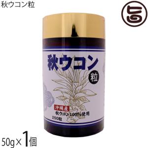 沖縄産100% 秋ウコン粒 50g(200mg×250粒)×1個 沖縄ウコン販売｜umaimon-hunter