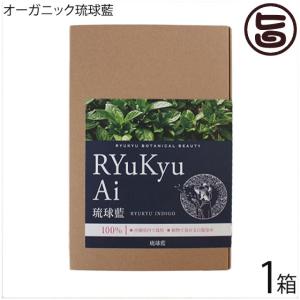 ダークブラウン オーガニック琉球ヘナ＆琉球藍 100g 国産ヘナ 沖縄産