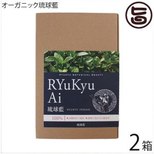 ダークブラウン オーガニック琉球ヘナ＆琉球藍 100g 国産ヘナ 沖縄産