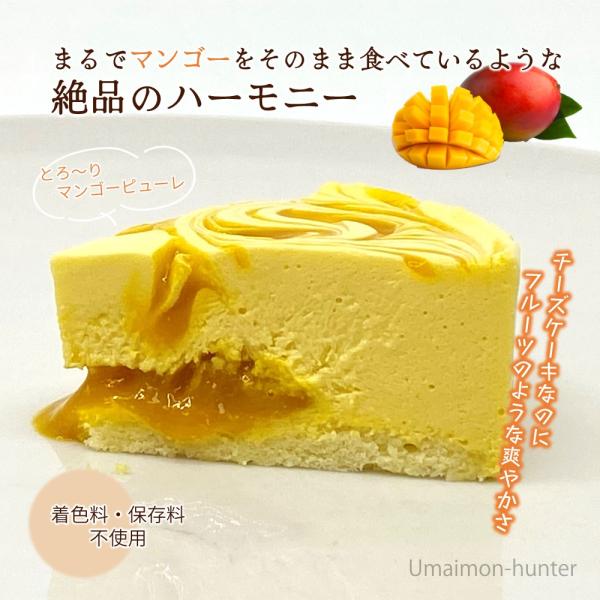 ギフト マンゴーフロマージュ 4号 4〜6人前