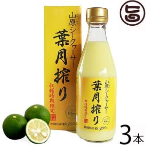 青切り シークヮーサー ジュース 原液 300ml×3本 琉球フロント 沖縄 健康飲料 皮ごと丸搾り 山原 葉月搾り 青切りシークワーサー ノビレチン｜umaimon-hunter