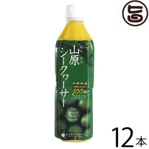 完熟シークワーサージュース 500ml×6本 /沖縄産 果汁100％ 原液 : 沖縄