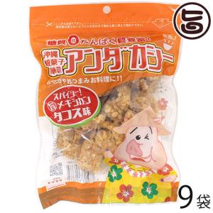 龍華のあんだかし〜 タコス味 70g×9袋 油かす 糖質ゼロ 沖縄 人気 糖質制限 健康管理 MEC食 土産 アンダカシー｜umaimon-hunter