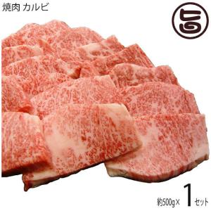 ギフト 神戸ビーフ 贈答用 焼肉 カルビ 500g 嶋本食品 手土産 贈り物｜umaimon-hunter