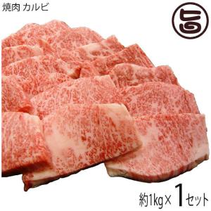 ギフト 神戸ビーフ 贈答用 焼肉 カルビ 1000g 嶋本食品 手土産 贈り物｜umaimon-hunter