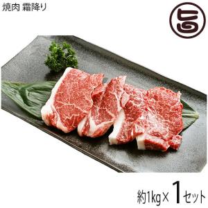 ギフト 神戸ビーフ 贈答用 焼肉 霜降り 1000g 嶋本食品 手土産 贈り物｜umaimon-hunter