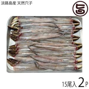 淡路島産 天然穴子 15尾×2P ニコマート 国産 淡路島産