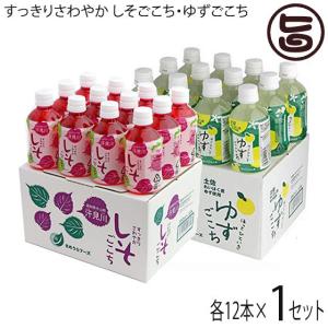 アンドラティア システムダイエット95 1箱 420g (30g×14袋) 【＋同商品