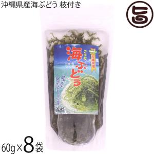 県産海ぶどう枝付き 60g×8袋