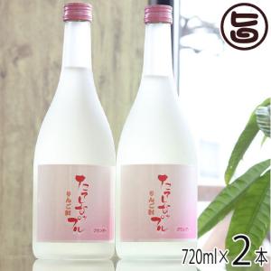 たてしなップル りんご酎 720ml×２本セット たてしなップル 長野 土産 ブランデー 醸造 熟成...