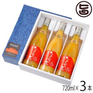 果肉入林檎ジュース ふじ 720ml×3本 たてしなップル 長野県 土産 果実飲料 フルーツジュース ご自宅用 パーティー 贈り物に｜umaimon-hunter