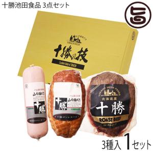 ギフト 3点セット 十勝ボンレスハム 十勝ボロニアソーセージ ローストビーフ 十勝池田食品 北海道 十勝 人気 ギフトセット 贈り物 自宅用 一部地域配送不可