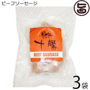 ギフト ビーフソーセージ 200g ×3袋 十勝池田食品 北海道 土産 人気 ギフト 贈り物  条件付き