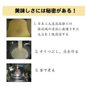 とうふのみそ漬 ミニ×2袋 たけうち 熊本県 ...の詳細画像3