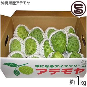 沖縄県産 アテモヤ 2kg 5〜10玉入り 送料無料 白箱 沖縄 高級