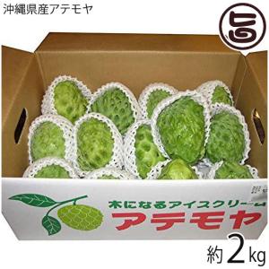 沖縄県産 アテモヤ 2kg 5〜10玉入り 送料無料 白箱 沖縄 高級