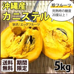 沖縄県産 カニステル 5kg エッグフルーツ 不思議な美味しさの追熟果物 沖縄 果物 人気 フルーツ お土産 珍フルーツ｜umaimon-hunter