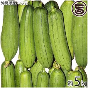 沖縄産 へちま（ナーベーラー）1kg : 沖縄お土産通販 ここち琉球