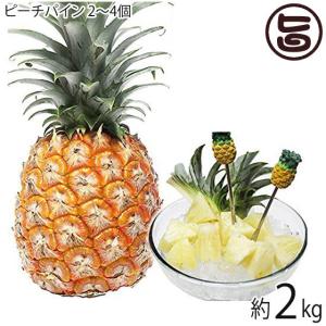 石垣島ゴールドバレルパイン 小玉2kg 2〜4玉 最高級パイン