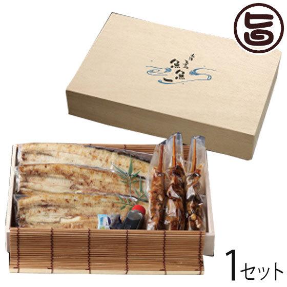 ギフト 高級化粧箱入り うなぎ白焼きセット 肝焼き付き 贈答用 魚魚一（とといち）静岡県 土産 浜名...