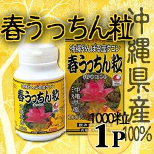 春ウコン 春うっちん粒 1000粒入×1P 沖縄 健康管理 サプリメント うこん 鬱金 人気｜umaimon-hunter