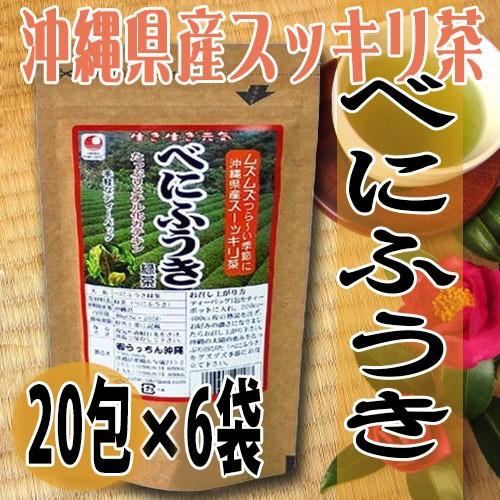 べにふうき緑茶 20包入り×2袋 沖縄土産 沖縄 土産 人気 健康茶 健康管理 ティーパック