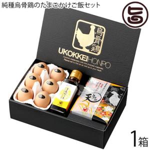 純種烏骨鶏のたまごかけご飯セット 烏骨鶏本舗 岐阜県産ハツシモ